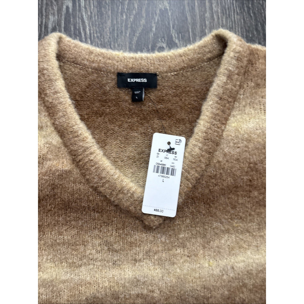 Express Men's V-Neck Sweater Size Large Brown Striped Knit Pullover Soft