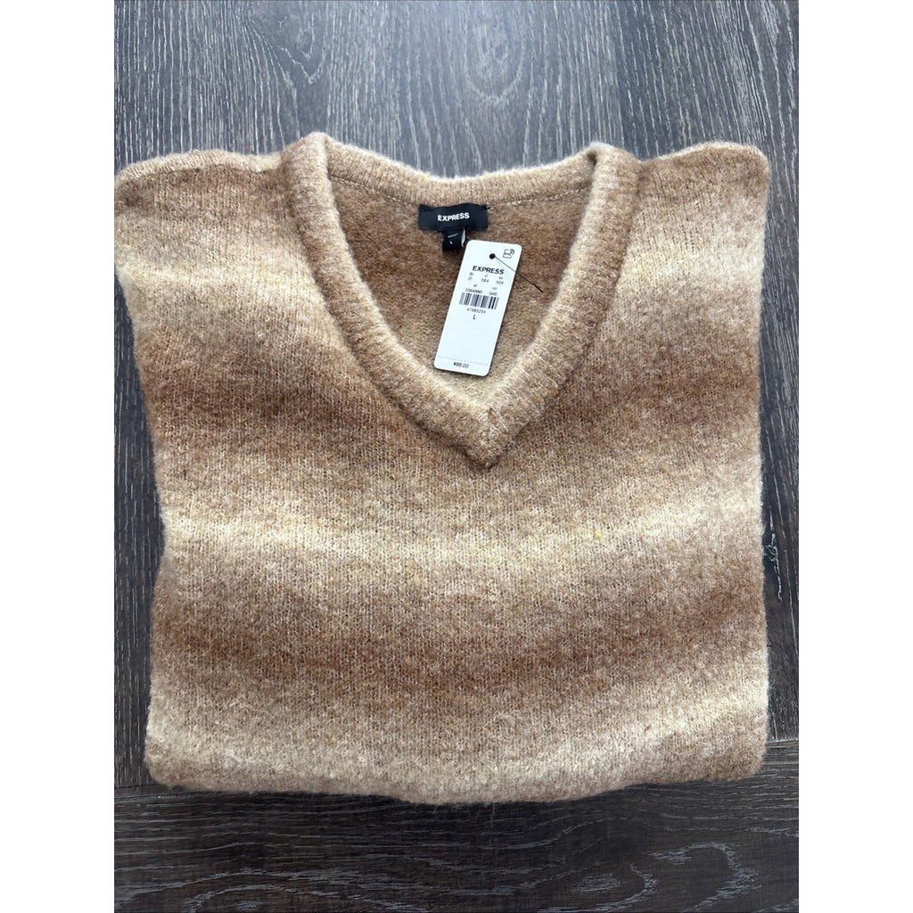 Express Men's V-Neck Sweater Size Large Brown Striped Knit Pullover Soft